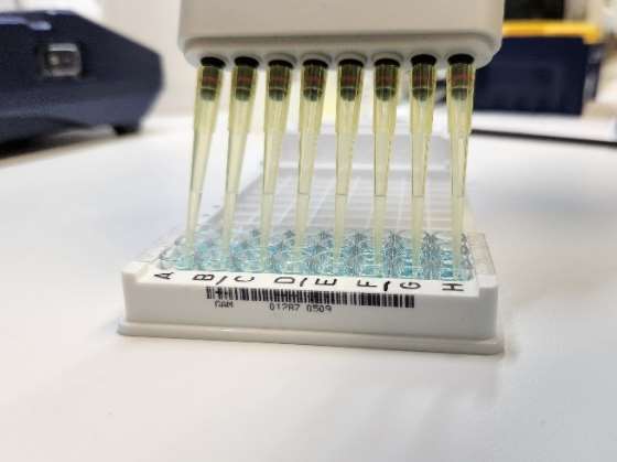 lab services